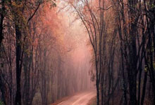 冬日里，西安这家桑拿馆是你的温暖小窝！