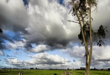 夜幕降临，西安周日APP带你发现不夜城！