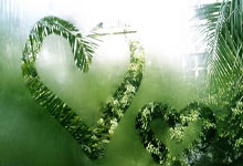 夜幕降临，西安周日APP带你发现不夜城！