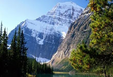 西安酒店桑拿升级必备，这家供应商你值得拥有！